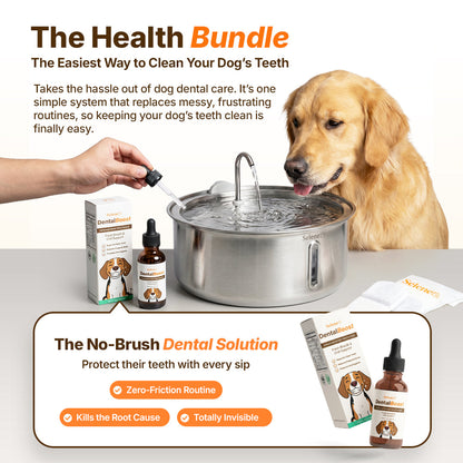 The Doggy Fountain™