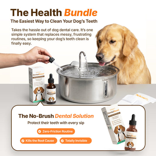 The Doggy Fountain™