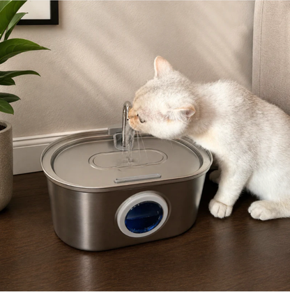 North Paw™ VitalSpring UV-C Cat Fountain